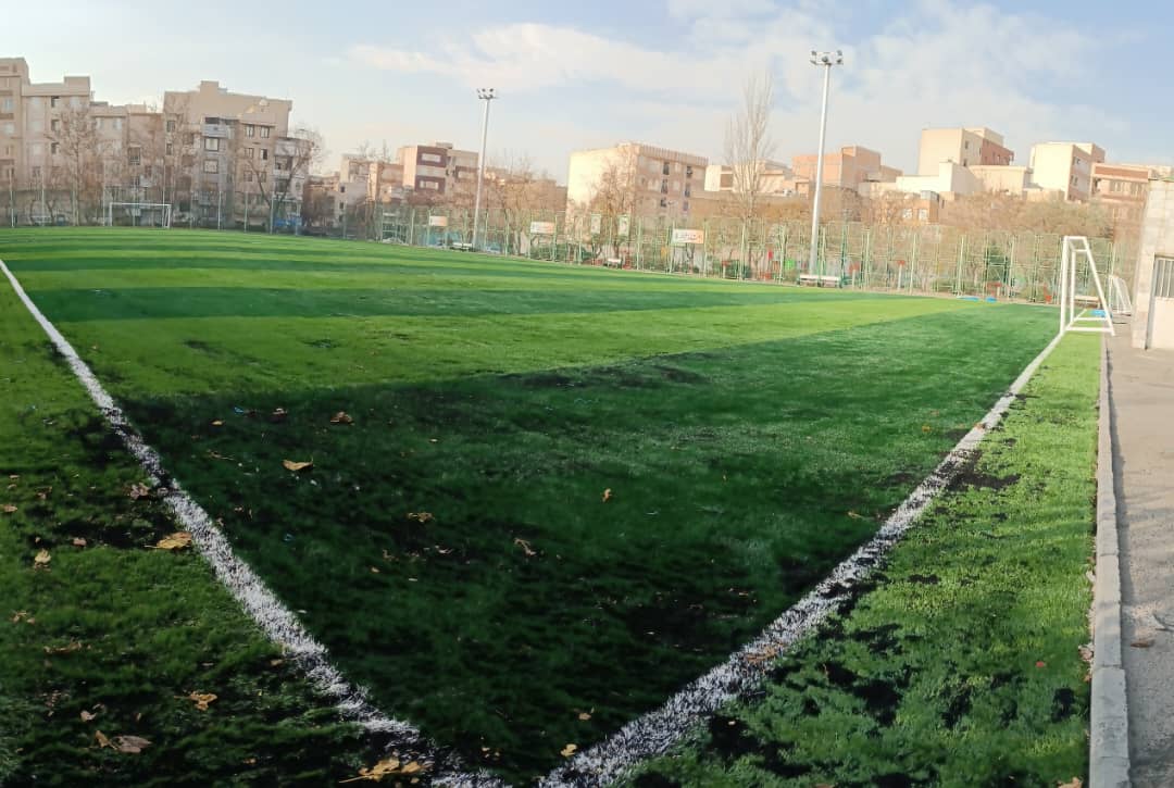 زمین چمن گلپیرا