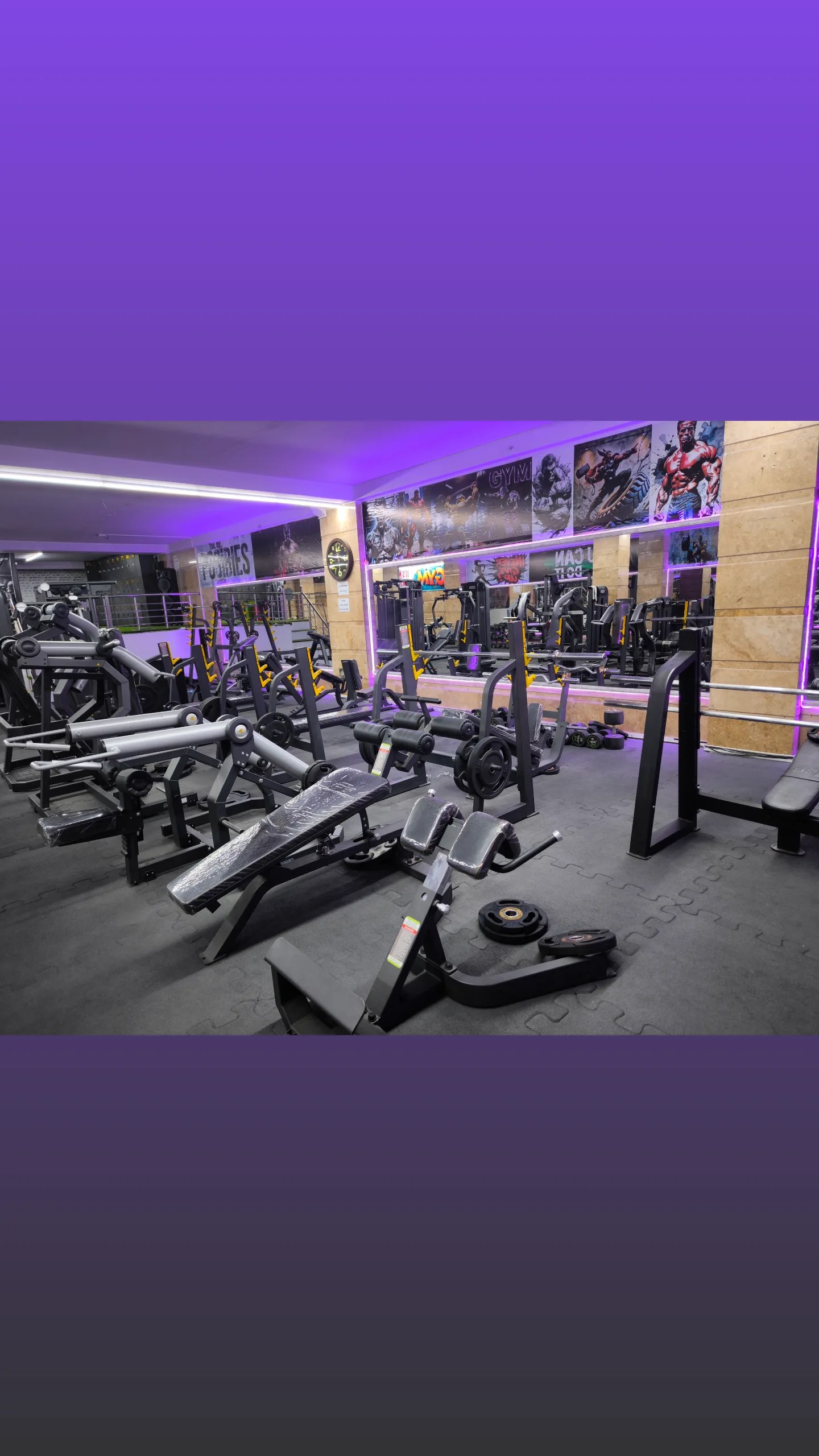 مجموعه ورزشی اورجینال