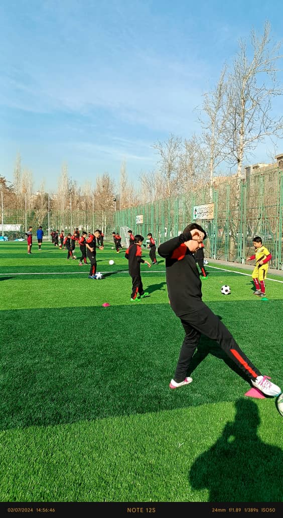 زمین چمن گلپیرا