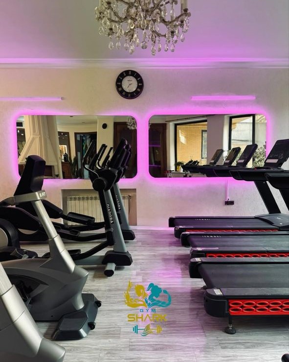 باشگاه شارک مشهد