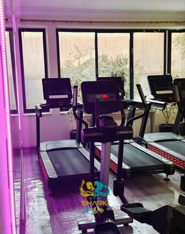 باشگاه شارک مشهد