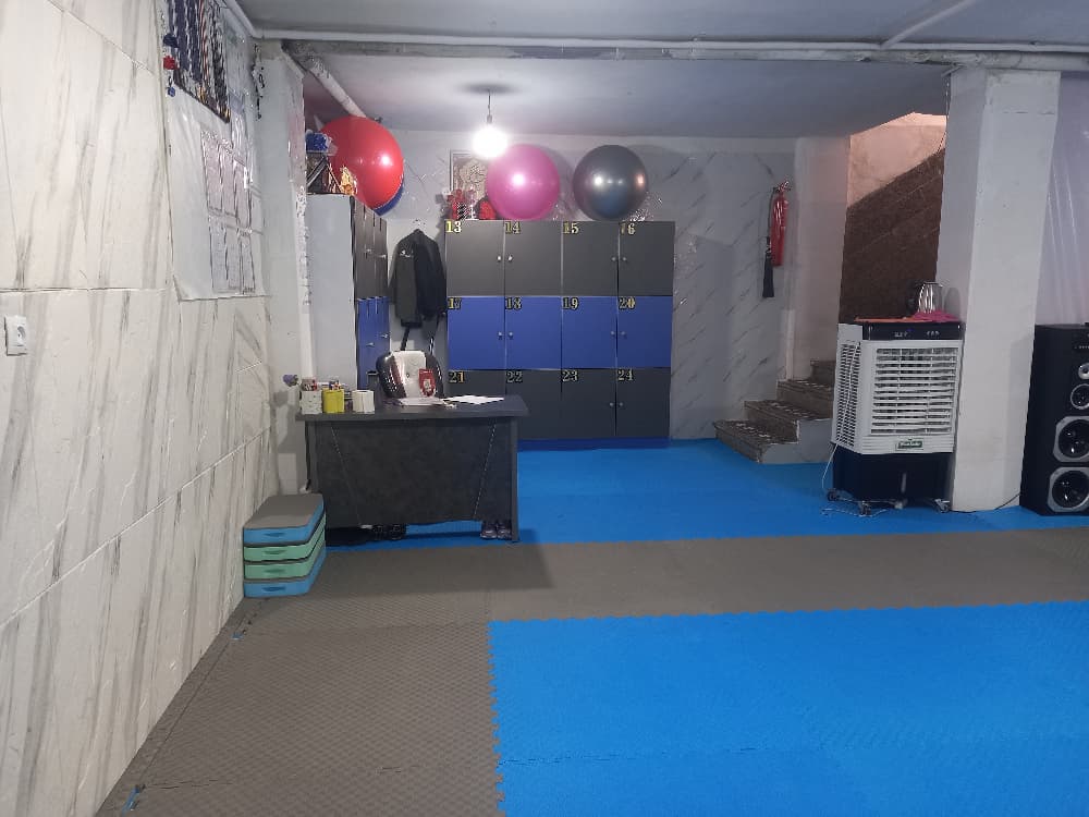 مجموعه ورزشی صاعقه