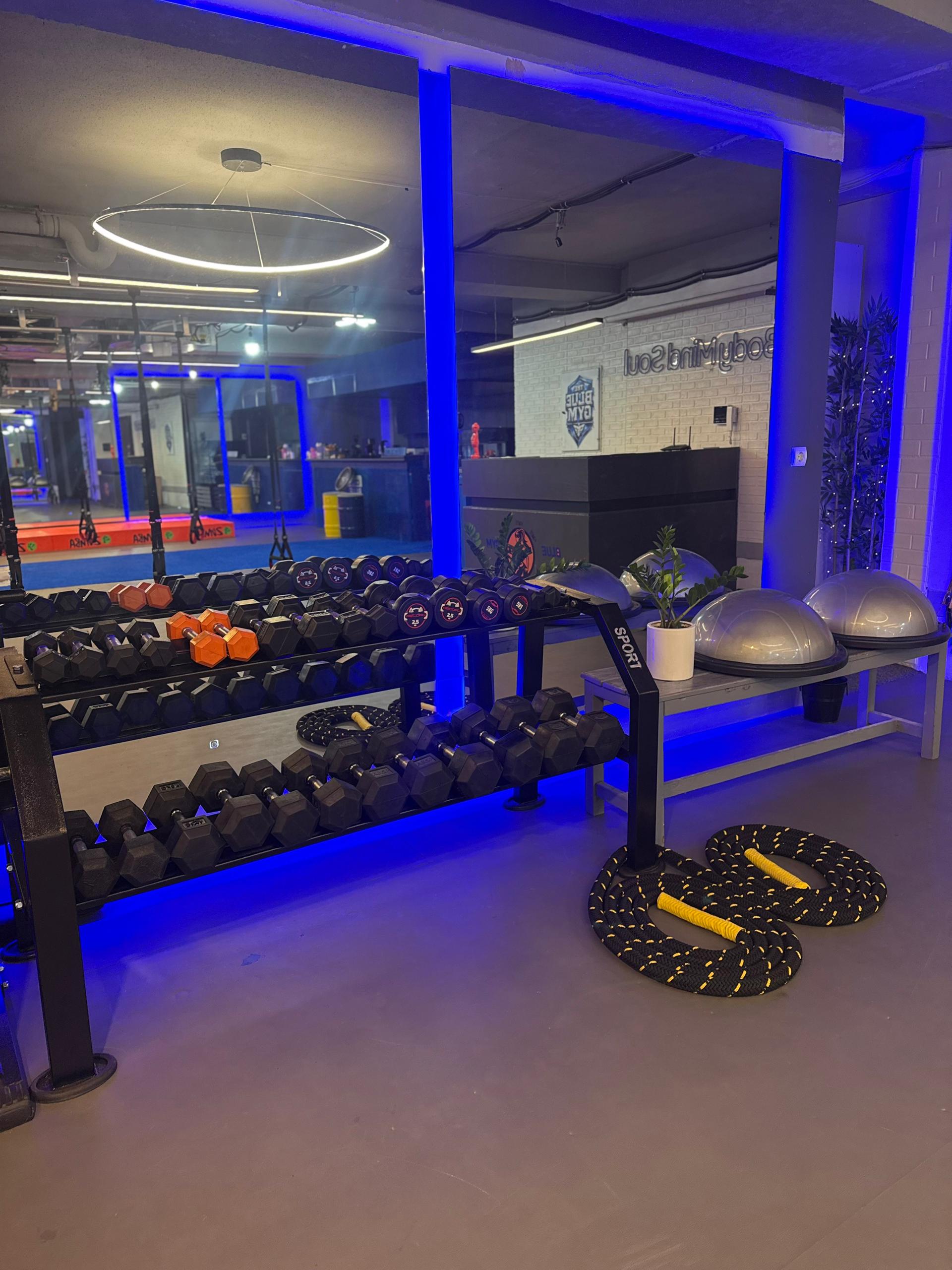 مجموعه ورزشی بلوجیم