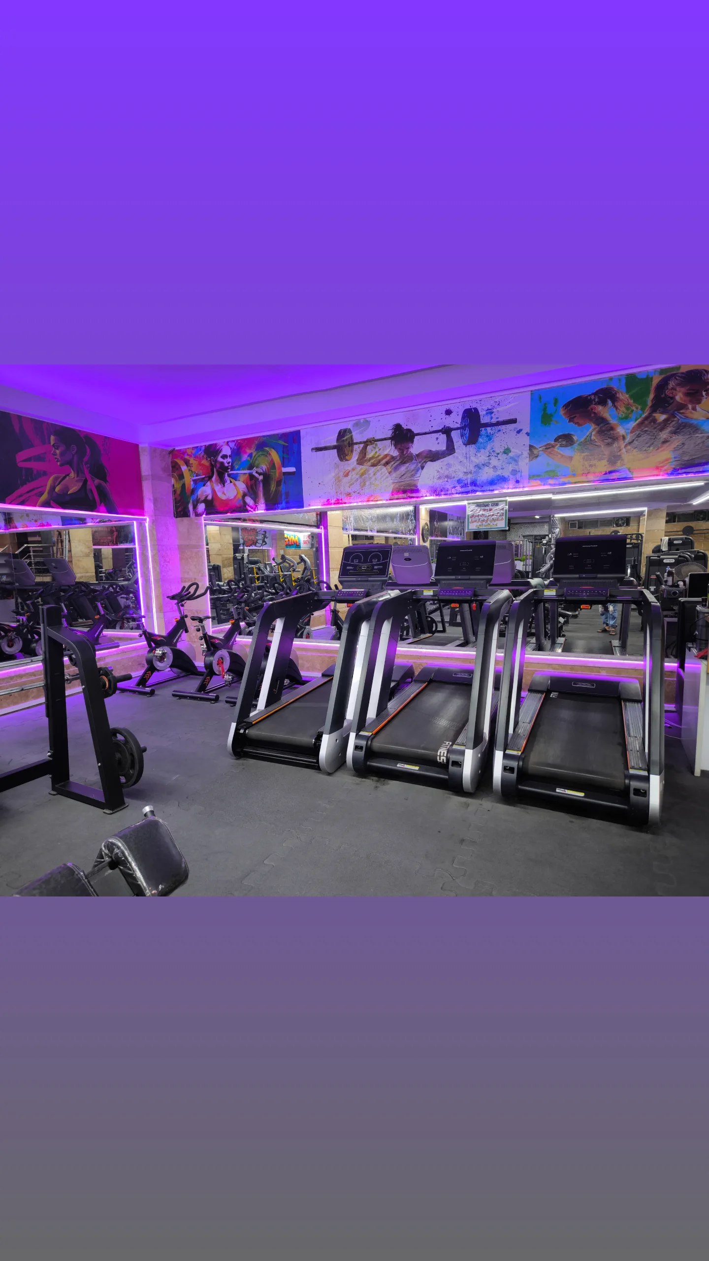 مجموعه ورزشی اورجینال