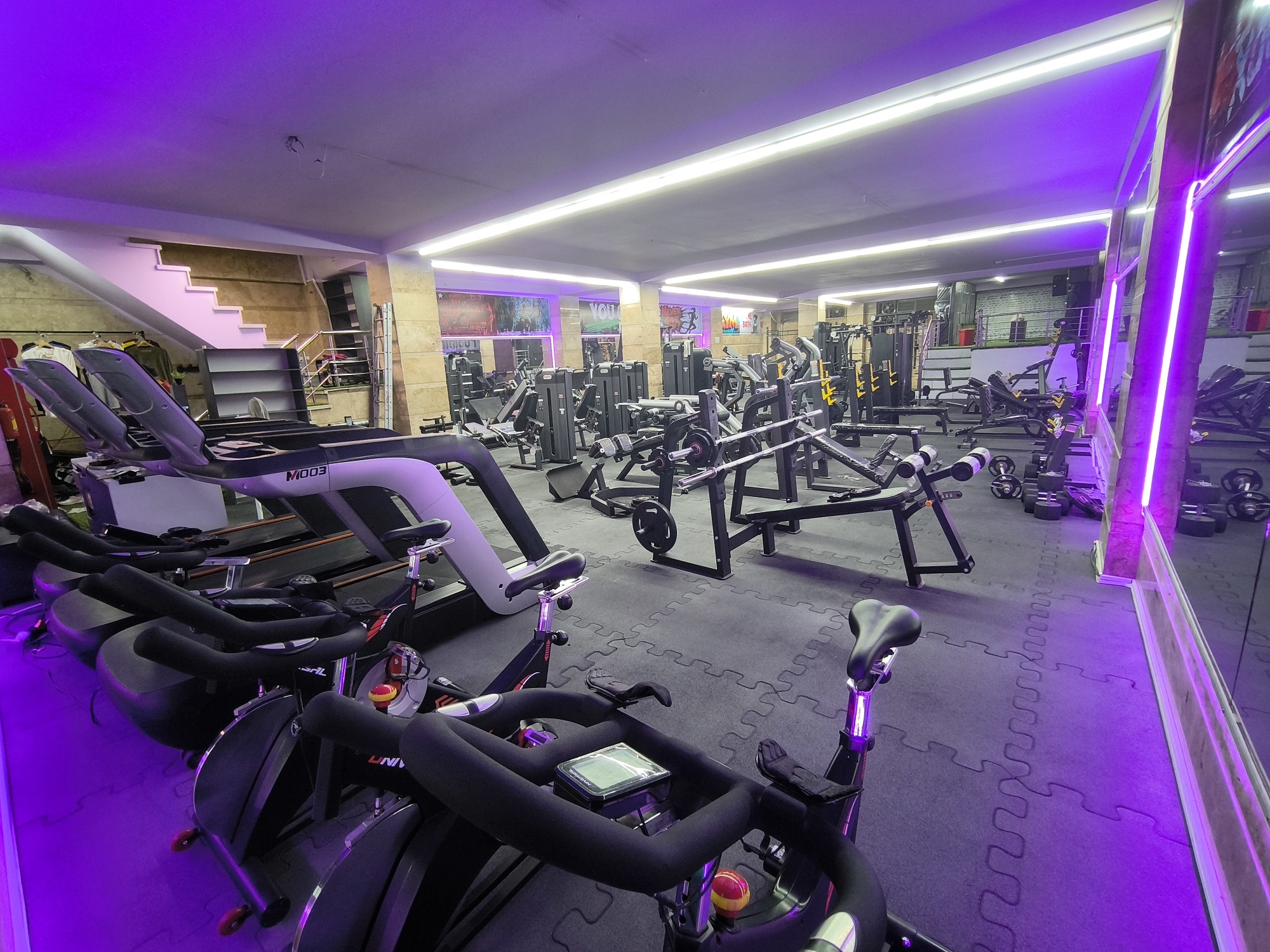 مجموعه ورزشی اورجینال