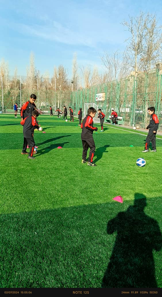 زمین چمن گلپیرا