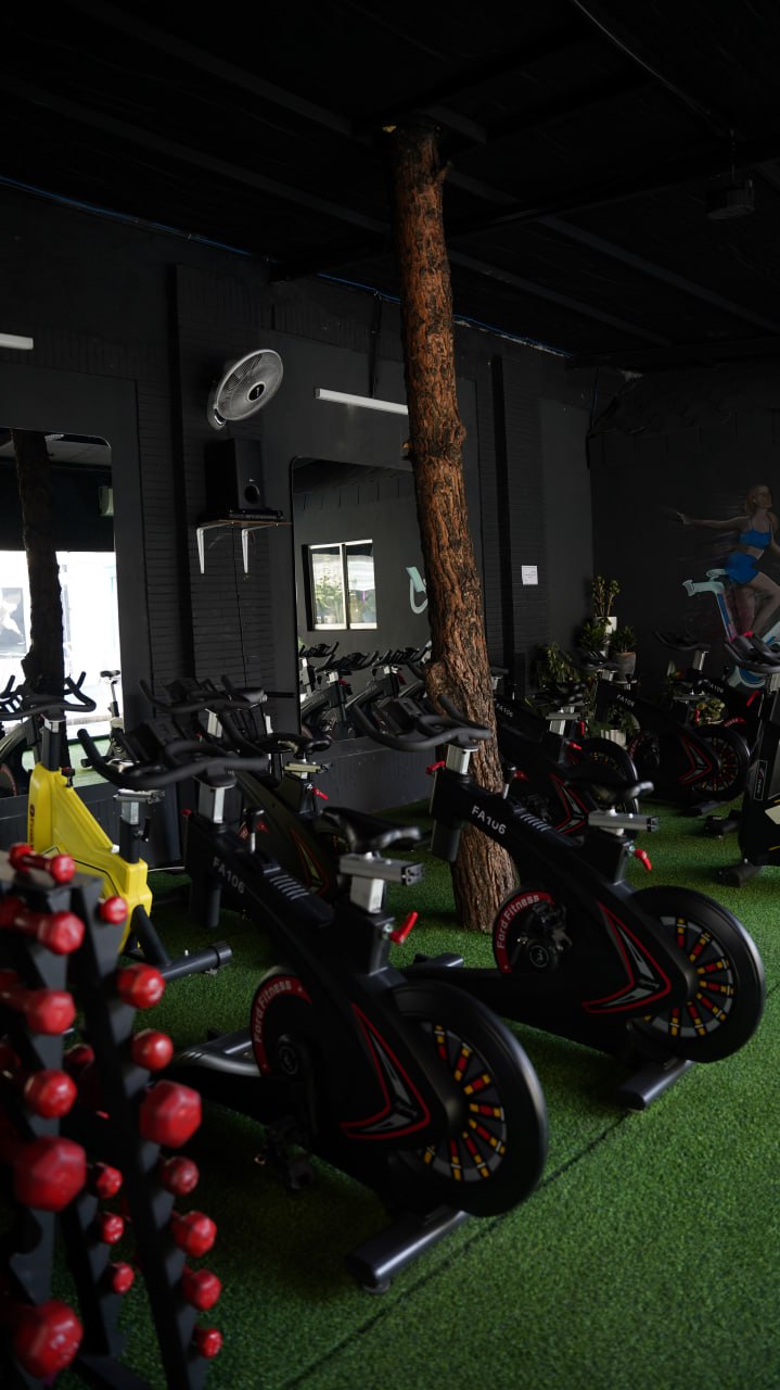 مجموعه ورزشی سپیده ناصری مشهد