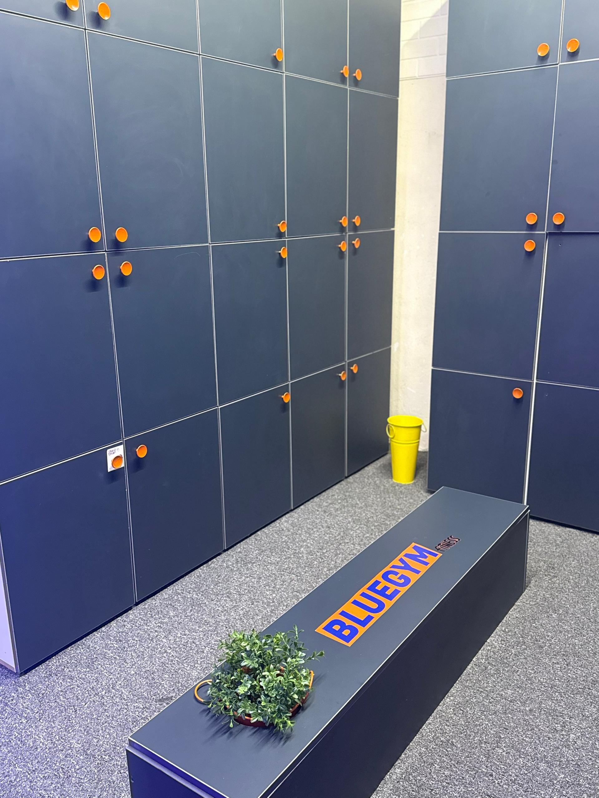 مجموعه ورزشی بلوجیم