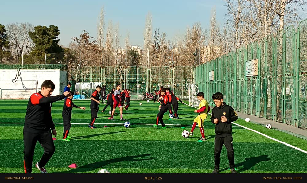 زمین چمن گلپیرا