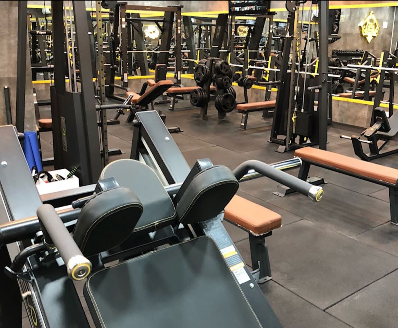 باشگاه سرزمین قدرت کرج