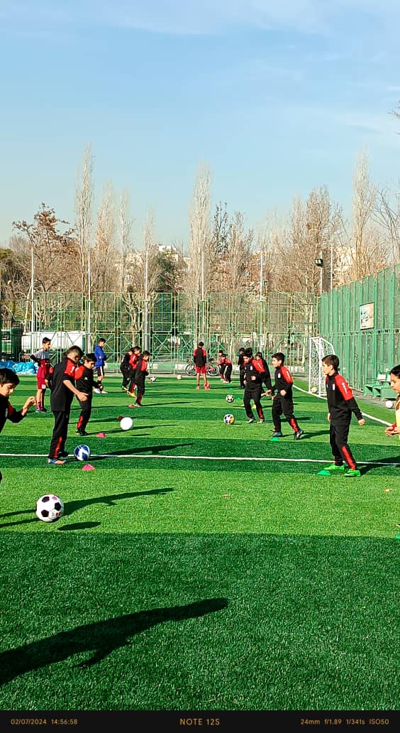 زمین چمن گلپیرا